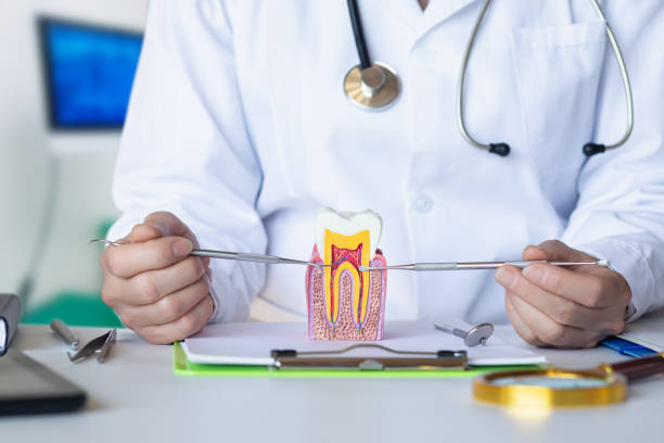 Best Urgent Dental Care for Toothache in Montoursville, PA